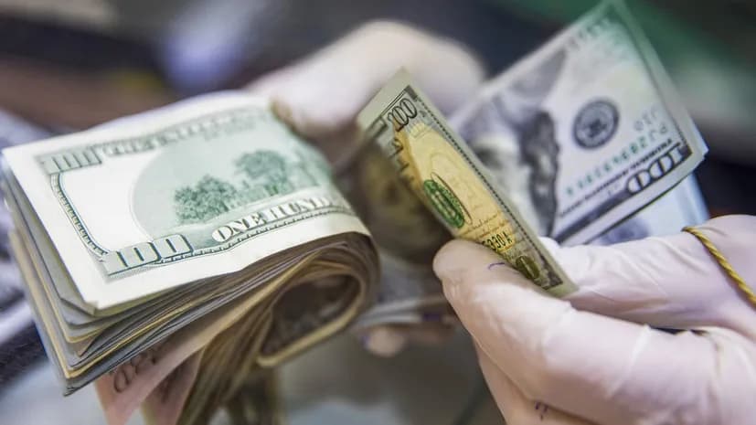 Сколько наличной валюты на руках у населения в России