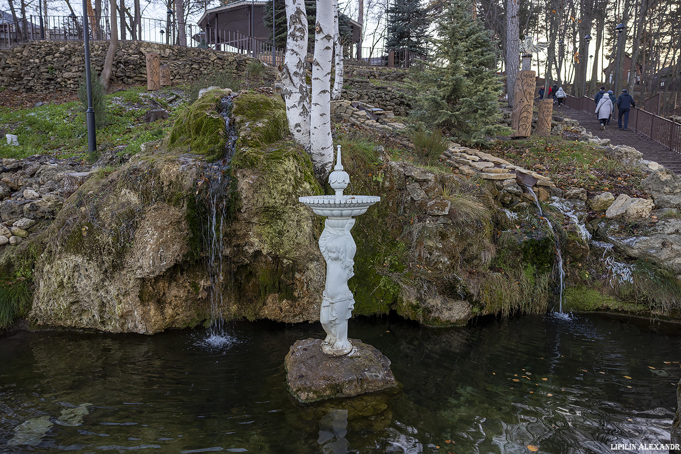 bg-img