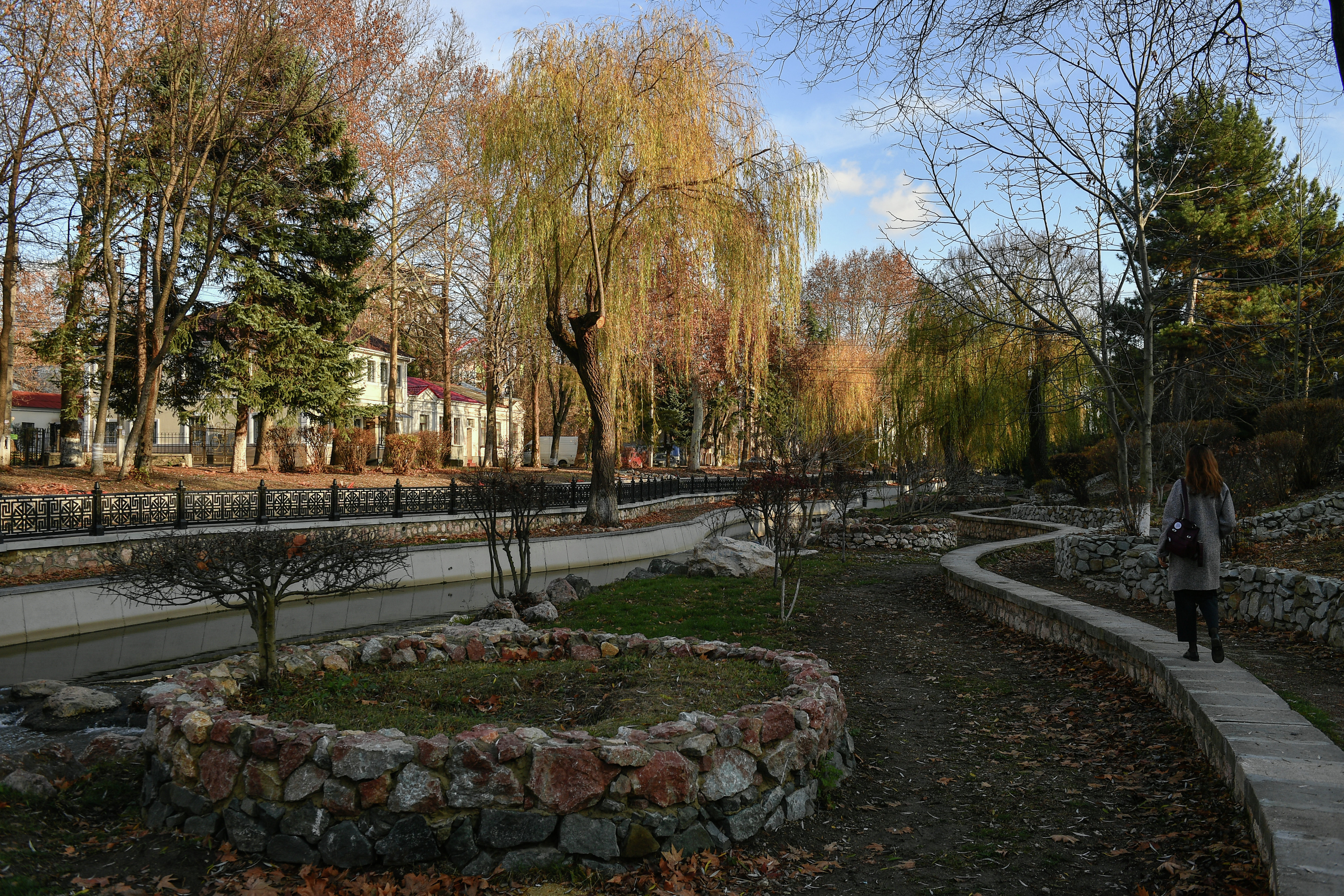 bg-img