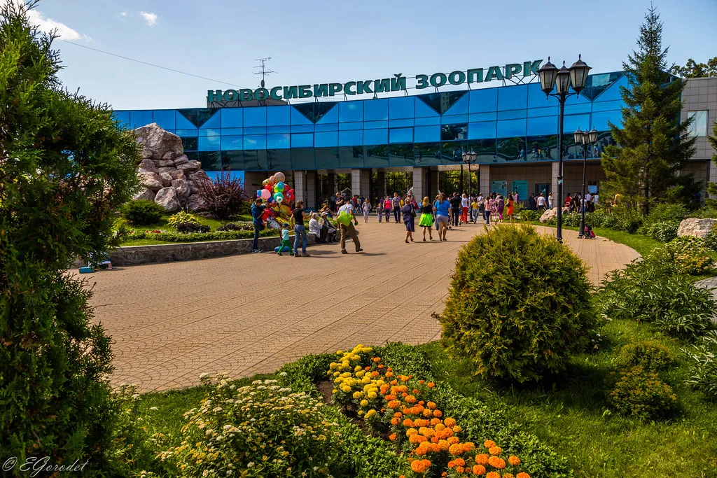 Курсы валют Новосибирск сегодня 07 марта (07.03.2025).